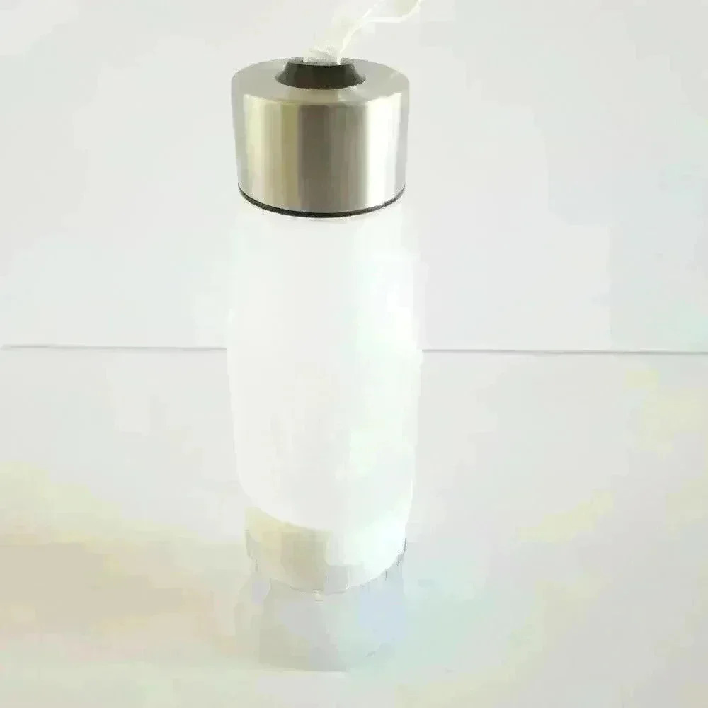 Transhome Creative Fruit Infuser Water Bottle